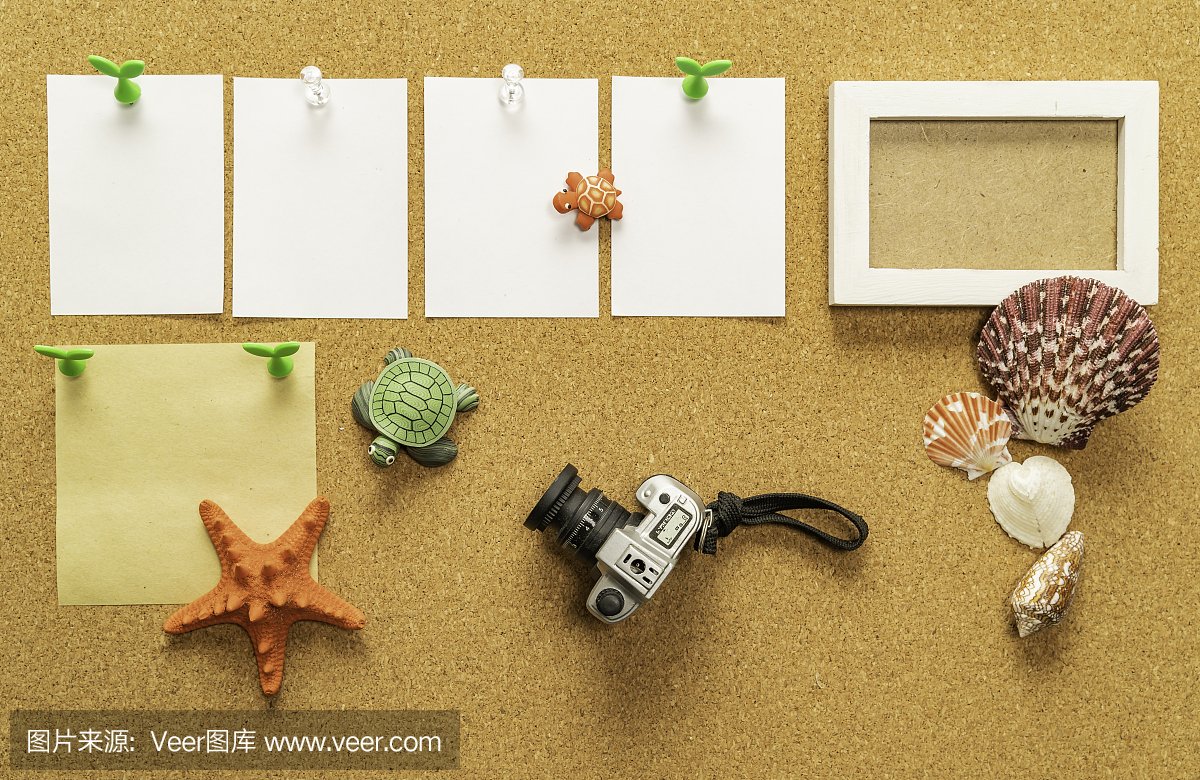 四張空白白紙,一張空白黃紙,配相框、相機(jī)、海貝、海星、海龜